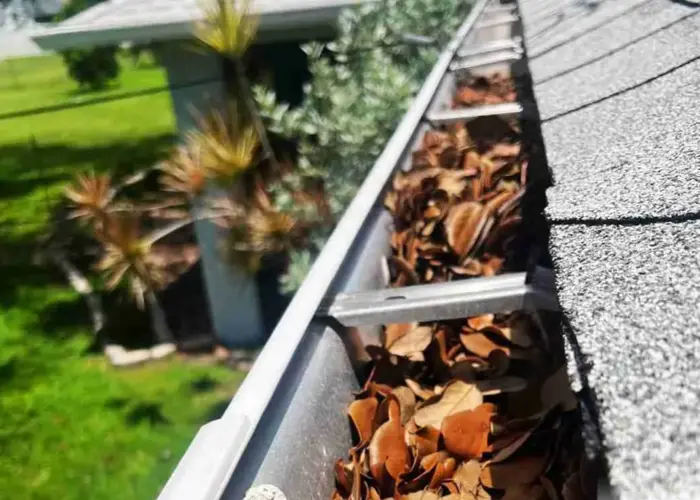 Vienna gutter cleaning home page